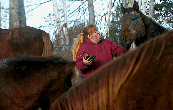 Priscilla Greenleaf, volunteer barn manager at the Last Chance Ranch in Troy, strokes one of the horses while brushing them Wednesday. Buy Photo Priscilla Greenleaf, volunteer barn manager at the Last Chance Ranch in Troy, strokes one of the horses while brushing them Wednesday. Buy Photo