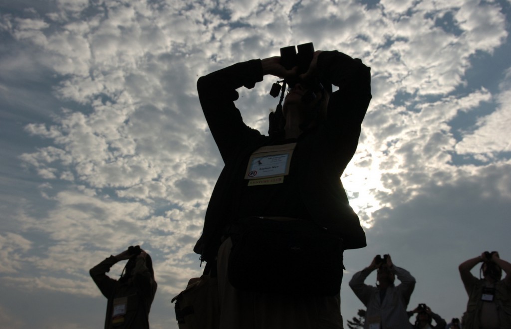 Bird-watchers turn their eyes to the sky Tuesday in the early morning light at Schoodic Peninsula in Acadia National park. The field trip was one of several offered as part of the American Birding Association's 2006 convention, which is being held this week in Bangor. More than 500 birders from throughout the nation are attending the convention, which continues through June 25. (BANGOR DAILY NEWS PHOTO BY KATE COLLINS) Bird-watchers turn their eyes to the sky Tuesday in the early morning light at Schoodic Peninsula in Acadia National park. The field trip was one of several offered as part of the American Birding Association's 2006 convention, which is being held this week in Bangor. More than 500 birders from throughout the nation are attending the convention, which continues through June 25. (BANGOR DAILY NEWS PHOTO BY KATE COLLINS)