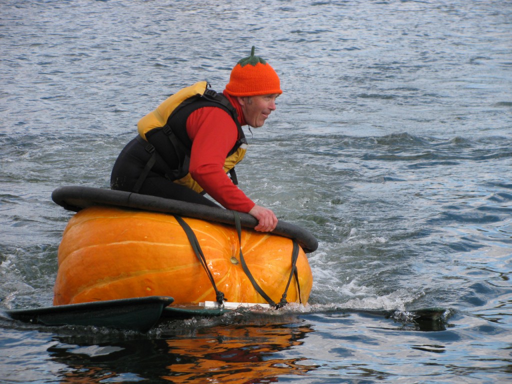 Buzz Pinkham zooms around the Damariscotta River Sunday afternoon in his 2.5 horsepower pumpkin boat. He helped found the festival in 2005, when just one pumpkin boat hit the water. (Bangor Daily News/Abigail Curtis) Buzz Pinkham zooms around the Damariscotta River Sunday afternoon in his 2.5 horsepower pumpkin boat. He helped found the festival in 2005, when just one pumpkin boat hit the water. (Bangor Daily News/Abigail Curtis)
