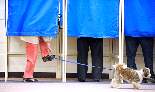 Christine Dyer of Bangor untangles her foot from the leash of her five-year-old Lhasa apso " Toby" as she finished filling out her ballot during early voting Monday afternoon at the Bangor Civic Center. She said she came to the polls a day early to avoid Tuesday's lines and wished the Garland Street polling location was been open this year because she likes to walk to the polls from her home. BANGOR DAILY NEWS PHOTO BY JOHN CLARKE RUSS Christine Dyer of Bangor untangles her foot from the leash of her five-year-old Lhasa apso " Toby" as she finished filling out her ballot during early voting Monday afternoon at the Bangor Civic Center. She said she came to the polls a day early to avoid Tuesday's lines and wished the Garland Street polling location was been open this year because she likes to walk to the polls from her home. BANGOR DAILY NEWS PHOTO BY JOHN CLARKE RUSS
