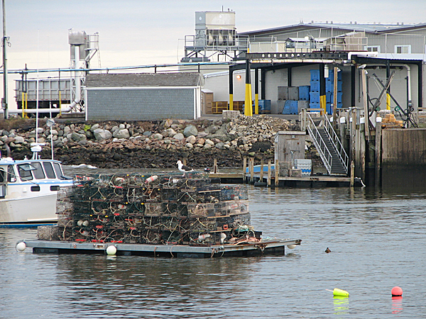 The Stinson Seafood Cannery sits right on the water in the Gouldsboro village of Prospect Harbor. Officials at the plant and with the town said Friday they are concerned that reduced herring catch limits may have an adverse effect on the cannery, which employs 130 people. The Stinson Seafood Cannery sits right on the water in the Gouldsboro village of Prospect Harbor. Officials at the plant and with the town said Friday they are concerned that reduced herring catch limits may have an adverse effect on the cannery, which employs 130 people.