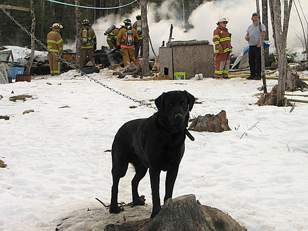 A dog stands guard on a dog run Wednesday in Lamoine while firefighters extinguish the flames of a small structure fire behind him. A small, camp-style dwelling was destroyed but no one was hurt in the blaze, according to Lamoine Assistant Fire Chief Stu Marckoon. BANGOR DAILY NEWS PHOTO BY BILL TROTTER A dog stands guard on a dog run Wednesday in Lamoine while firefighters extinguish the flames of a small structure fire behind him. A small, camp-style dwelling was destroyed but no one was hurt in the blaze, according to Lamoine Assistant Fire Chief Stu Marckoon. BANGOR DAILY NEWS PHOTO BY BILL TROTTER