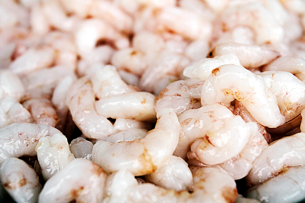 A pile of raw Maine shrimp is seen at a fish market in Portland, Maine, on Monday, May 3, 2010. Officials claim that nearly 11 million pounds have been caught so far this year, prompting regulators to close the fishing season three weeks earlier than originally planned. ( AP Photo/Pat Wellenbach) A pile of raw Maine shrimp is seen at a fish market in Portland, Maine, on Monday, May 3, 2010. Officials claim that nearly 11 million pounds have been caught so far this year, prompting regulators to close the fishing season three weeks earlier than originally planned. ( AP Photo/Pat Wellenbach)