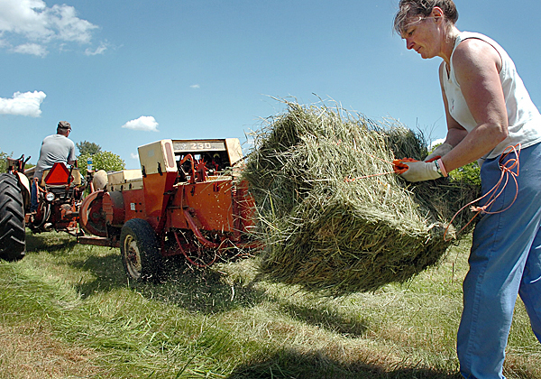 Ann Kenny and her husband, Mike, bale hay Monday, May 24, 2010 at one of their Orono fields. The couple began cutting hay last week, which Kenny said was two to three weeks ahead of schedule. "We didn't make the first cut until August last year," Kenny said because of the rain. BANGOR DAILY NEWS PHOTO BY BRIDGET BROWN Ann Kenny and her husband, Mike, bale hay Monday, May 24, 2010 at one of their Orono fields. The couple began cutting hay last week, which Kenny said was two to three weeks ahead of schedule. "We didn't make the first cut until August last year," Kenny said because of the rain. BANGOR DAILY NEWS PHOTO BY BRIDGET BROWN