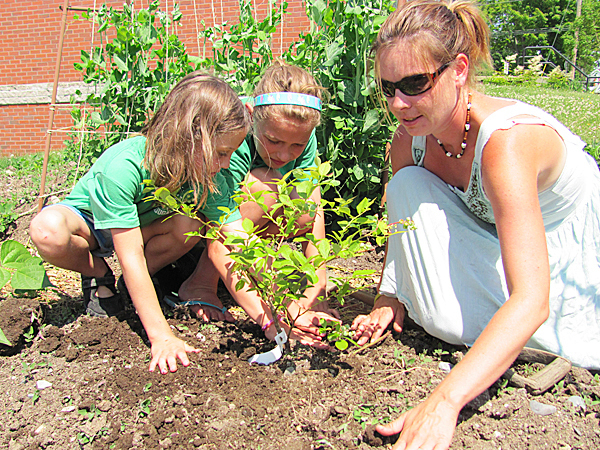 Amber (left) and Leah Savage of Cornville help Heather Davis of Cayford Orchards in Cornville plant a blueberry bush at the downtown Skowhegan Farmer's Market on Saturday. Buy Photo Amber (left) and Leah Savage of Cornville help Heather Davis of Cayford Orchards in Cornville plant a blueberry bush at the downtown Skowhegan Farmer's Market on Saturday. Buy Photo