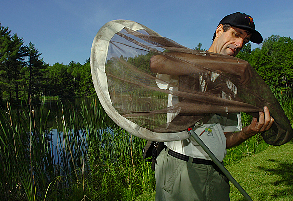 (BANGOR DAILY NEWS PHOTO BY BRIDGET BROWN)
CAPTION
"To swing and miss is better than to have never swung," said ecologist Mark Ward of Bristol of catching dragonflies and damselflies Friday, June 25, 2010 at Hirundo Wildlife Refuge in Alton. (Bangor Daily News/Bridget Brown) (BANGOR DAILY NEWS PHOTO BY BRIDGET BROWN)
CAPTION
"To swing and miss is better than to have never swung," said ecologist Mark Ward of Bristol of catching dragonflies and damselflies Friday, June 25, 2010 at Hirundo Wildlife Refuge in Alton. (Bangor Daily News/Bridget Brown)