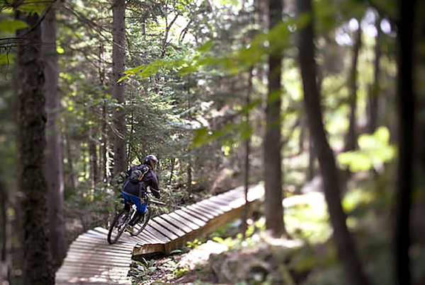 Mountain biker. For Strout/Outdoor pages. Mountain biker. For Strout/Outdoor pages.