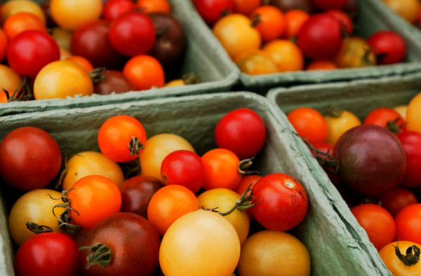 Cherry tomatoes were among the many items for sale at Brae Maple Farm's booth at the Common Ground Fair's farmers market. (BANGOR DAILY NEWS PHOTO BY BRIDGET BROWN) Cherry tomatoes were among the many items for sale at Brae Maple Farm's booth at the Common Ground Fair's farmers market. (BANGOR DAILY NEWS PHOTO BY BRIDGET BROWN)