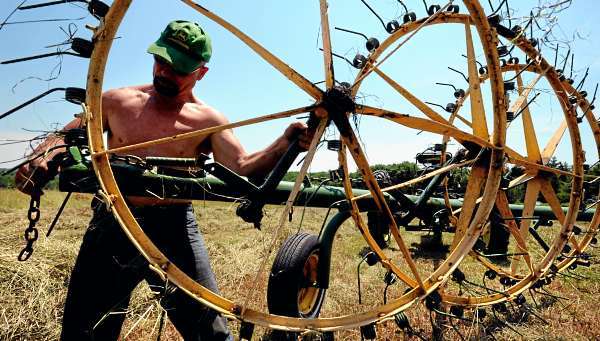 Mike Allen, 59, of Orrington gets his hay rake ready for transport after he finished raking a field on his father Paul Allen's farm near his home Monday, July 5, 2010. "I have to hurry to get all this baled today because there might be some rain this evening. This is what I do on my vacation, it keeps me young," Allen said. He cuts hay for his draft horse and cow as well as to sell. (Bangor Daily News/Gabor Degre) Mike Allen, 59, of Orrington gets his hay rake ready for transport after he finished raking a field on his father Paul Allen's farm near his home Monday, July 5, 2010. "I have to hurry to get all this baled today because there might be some rain this evening. This is what I do on my vacation, it keeps me young," Allen said. He cuts hay for his draft horse and cow as well as to sell. (Bangor Daily News/Gabor Degre)