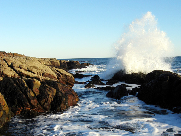 A wave crashes into the rocks at Ship Harbor at Acadia National Park. (Photo courtesy of NPS/Todd M. Edgar) A wave crashes into the rocks at Ship Harbor at Acadia National Park. (Photo courtesy of NPS/Todd M. Edgar)