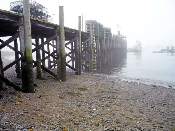 Islesford town dock where Dr. Marvin Blitz and his wife, Nancy Brooks, drover their golf cart through a stack of lobster traps and over the edge. The cart landed on its top. They were taken by ambulance to the head of the dock and put aboard a boat to be taken to the mainland. Photo by Richard Dudman Islesford town dock where Dr. Marvin Blitz and his wife, Nancy Brooks, drover their golf cart through a stack of lobster traps and over the edge. The cart landed on its top. They were taken by ambulance to the head of the dock and put aboard a boat to be taken to the mainland. Photo by Richard Dudman