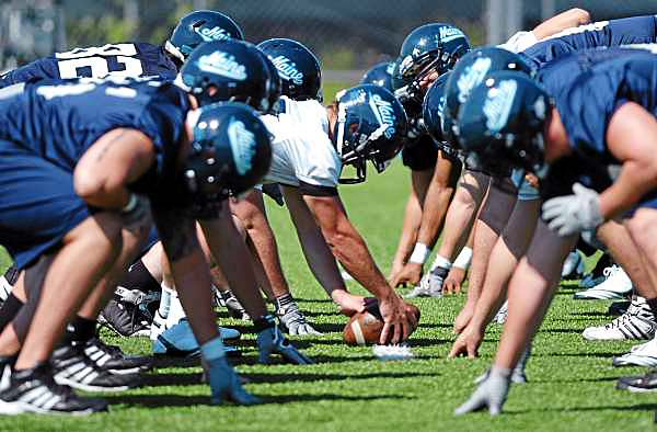 The Maine Black Bears run through drills during practice at Morse Field in Orono on Sunday, Aug. 8, 2010. The Bears first home game of the season is Sept. 2 versus Albany. (Bangor Daily News/Bridget Brown) The Maine Black Bears run through drills during practice at Morse Field in Orono on Sunday, Aug. 8, 2010. The Bears first home game of the season is Sept. 2 versus Albany. (Bangor Daily News/Bridget Brown)
