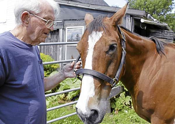 Roice Saunders, 88, holds the bridle of his horse Mr. T on Aug. 10 at his home in Ellsworth. Buy Photo Roice Saunders, 88, holds the bridle of his horse Mr. T on Aug. 10 at his home in Ellsworth. Buy Photo