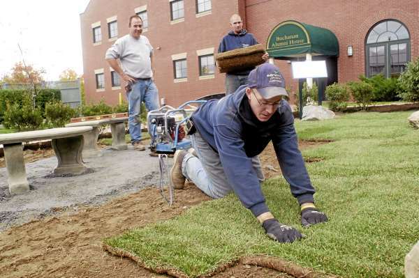 ORONO, ME -- OCTOBER 14, 2010 -- Ryan Whitmore lays sod while Todd Sheerman (CQ) carries another roll to be laid in the "2010 Traditions Garden" at the Buchanan Alumni House at the Universtiy of Maine on Thursday. The 2010 class officers raised funds to have the garden made in honor of Alvin "Al" McNeilly '44 and the class of 1944. Street's Landscape & Lawn Care, Inc of Alton put the garden in. There will be a reception and ribbon cutting following the football game on Saturday. LINDA COAN O'KRESIK ORONO, ME -- OCTOBER 14, 2010 -- Ryan Whitmore lays sod while Todd Sheerman (CQ) carries another roll to be laid in the "2010 Traditions Garden" at the Buchanan Alumni House at the Universtiy of Maine on Thursday. The 2010 class officers raised funds to have the garden made in honor of Alvin "Al" McNeilly '44 and the class of 1944. Street's Landscape & Lawn Care, Inc of Alton put the garden in. There will be a reception and ribbon cutting following the football game on Saturday. LINDA COAN O'KRESIK