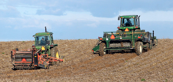 PHOTO BY JOSEPH CYR/HOULTON PIONEER TIMES
Fall officially started at 11:13 p.m. Wednesday, but the annual fall harvest had already begun for many potato farmers in Aroostook County. This crew, for instance, was hard at work in a field off Route 1 in Littleton on Monday. Students in Houlton area schools are also gearing up for the harvest recess, which runs Sept. 27 through Oct. 1. PHOTO BY JOSEPH CYR/HOULTON PIONEER TIMES
Fall officially started at 11:13 p.m. Wednesday, but the annual fall harvest had already begun for many potato farmers in Aroostook County. This crew, for instance, was hard at work in a field off Route 1 in Littleton on Monday. Students in Houlton area schools are also gearing up for the harvest recess, which runs Sept. 27 through Oct. 1.