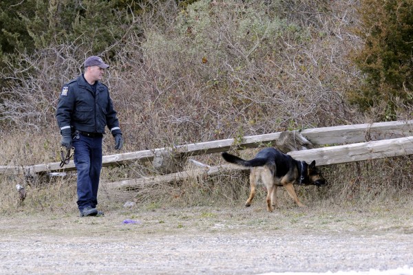 K-9 unit police use a cadaver dog to search an area in Oak Beach on New York's Long Island where four bodies were discovered. One by one starting in 2007, four women disappeared shortly after booking a client for sex using online advertising services like Craigslist. Their bodies were all found strewn about 500 yards apart along a deserted stretch of Long Island beach highway. K-9 unit police use a cadaver dog to search an area in Oak Beach on New York's Long Island where four bodies were discovered. One by one starting in 2007, four women disappeared shortly after booking a client for sex using online advertising services like Craigslist. Their bodies were all found strewn about 500 yards apart along a deserted stretch of Long Island beach highway.
