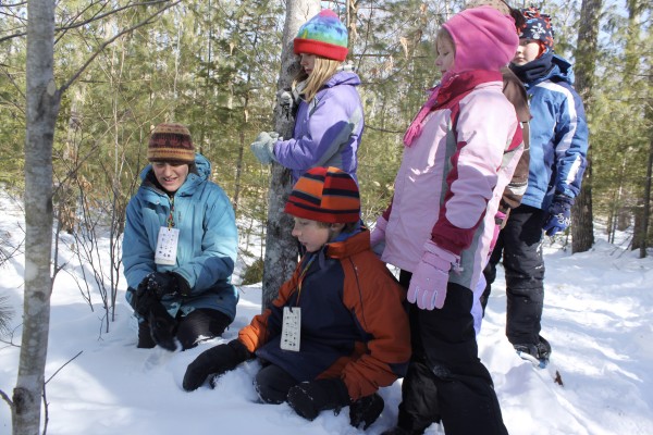 Tanglewood Camp environmental educator Leah Trommer talks about ermine tracks to campers Joseph Potter, 8, of Belfast (from left), Sydney Densmore, 9, of Waldo, Emily Izajs, 8, of Islesboro and Jaydon Schumacher, 10, of Hope, on Wednesday at Tanglewood Camp in Lincolnville at the two-day Winter Survivors camp during school vacation Tanglewood Camp environmental educator Leah Trommer talks about ermine tracks to campers Joseph Potter, 8, of Belfast (from left), Sydney Densmore, 9, of Waldo, Emily Izajs, 8, of Islesboro and Jaydon Schumacher, 10, of Hope, on Wednesday at Tanglewood Camp in Lincolnville at the two-day Winter Survivors camp during school vacation