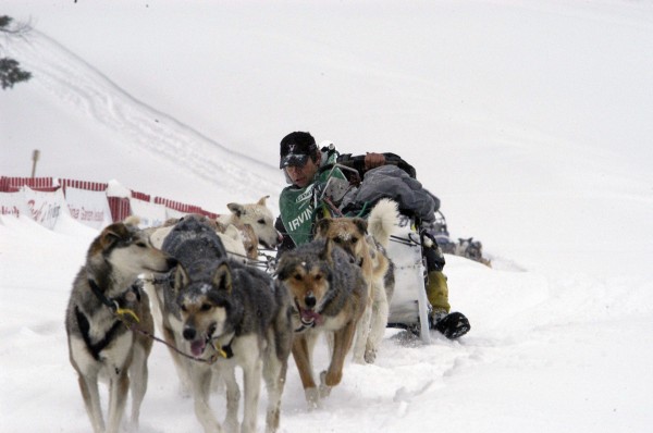 Can Am Crown 250 winner Rene Marchildon struggles with his team as they head into the finish line at Fort Kent late in the day Monday after breaking through more than a foot and a half of new snow the last 40 miles of the race. Can Am Crown 250 winner Rene Marchildon struggles with his team as they head into the finish line at Fort Kent late in the day Monday after breaking through more than a foot and a half of new snow the last 40 miles of the race.