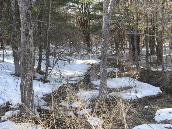 A warm March afternoon frees up a woodland stream on Marsh Island. A warm March afternoon frees up a woodland stream on Marsh Island.