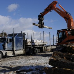 A crane adds freshly-cut timber to Wayne Daggett's payload at a harvesting area in Dover-Foxcroft on Feb. 10, 2011. Daggett runs Charles Daggett Inc. based in Topsfield and hauls wood for private contractors. By far, trucking dwarfs other forms of transport in Maine despite the recession and despite federal regulations imposed on the trucking industry.
