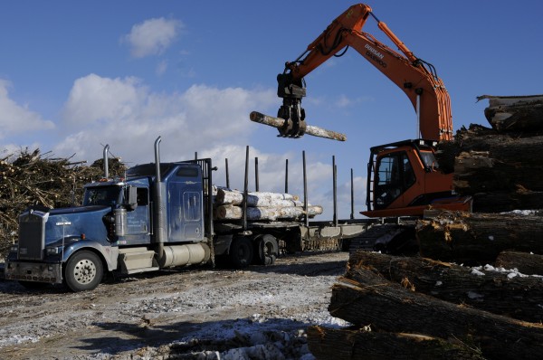 A crane adds freshly-cut timber to Wayne Daggett's payload at a harvesting area in Dover-Foxcroft on Feb. 10, 2011. Daggett runs Charles Daggett Inc. based in Topsfield and hauls wood for private contractors. By far, trucking dwarfs other forms of transport in Maine despite the recession and despite federal regulations imposed on the trucking industry. A crane adds freshly-cut timber to Wayne Daggett's payload at a harvesting area in Dover-Foxcroft on Feb. 10, 2011. Daggett runs Charles Daggett Inc. based in Topsfield and hauls wood for private contractors. By far, trucking dwarfs other forms of transport in Maine despite the recession and despite federal regulations imposed on the trucking industry.