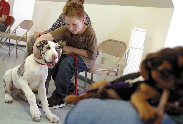 Warren Higgins, 10, of Sullivan, calms his 16-week-old Great Dane puppy Thunder during the Puppy Headstart training class at Green Acres Kennel Shop in Bangor on Thursday. The class, which encourages family attendance, focuses on topics which include canine language, management, play biting, nutrition and handling. Warren Higgins, 10, of Sullivan, calms his 16-week-old Great Dane puppy Thunder during the Puppy Headstart training class at Green Acres Kennel Shop in Bangor on Thursday. The class, which encourages family attendance, focuses on topics which include canine language, management, play biting, nutrition and handling.