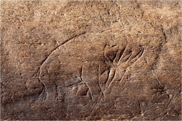 This undated handout photo provided by the Smithsonian Institution shows a carved image, at least 13,000 years old, found in Vero Beach, Fla. Some of the earliest Americans turned out to have been artists. The bone fragment with the carved image of a mammoth or mastodon, may be the first of its kind found in North America, a new study reports. This undated handout photo provided by the Smithsonian Institution shows a carved image, at least 13,000 years old, found in Vero Beach, Fla. Some of the earliest Americans turned out to have been artists. The bone fragment with the carved image of a mammoth or mastodon, may be the first of its kind found in North America, a new study reports.
