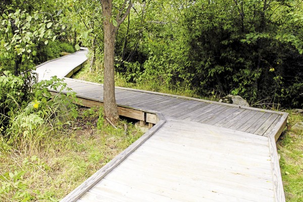Corinna boardwalk Corinna boardwalk