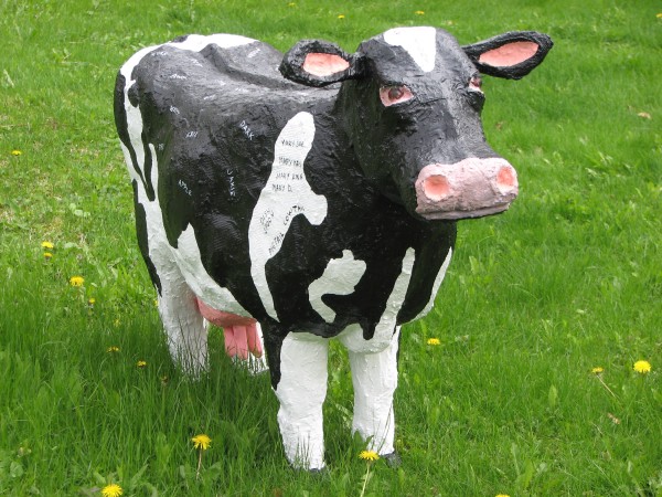 A nearly life-sized stucco cow sculpture by Beflast artist Beth Henderson is on display at the exhibit Hooves, Fur and Feathers, which will run through July 18 at the Maine Farmland Trust Gallery at 97 Main St. The cow is christened with the names of 60 of the 125 dairy cows at Reed Farm in Windsor. A nearly life-sized stucco cow sculpture by Beflast artist Beth Henderson is on display at the exhibit Hooves, Fur and Feathers, which will run through July 18 at the Maine Farmland Trust Gallery at 97 Main St. The cow is christened with the names of 60 of the 125 dairy cows at Reed Farm in Windsor.