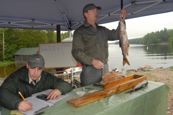 Regional Fisheries Biologist Gregory Burr, (right) weights a Togue Saturday June 18, at the boat launch located in Grand Lake Stream. Regional Fisheries Biologist Gregory Burr, (right) weights a Togue Saturday June 18, at the boat launch located in Grand Lake Stream.