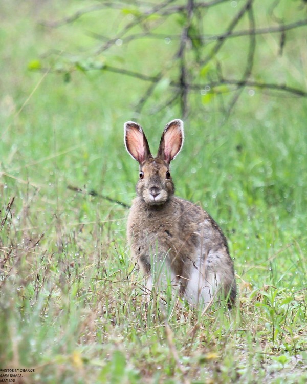 Around The County photographically — Outdoors — Bangor Daily News — BDN
