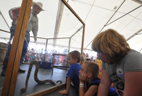 Standing inside a safety enclosure, "Rattlesnake" Dave Richardson of Syracuse, NY shows one of his Western Diamondback rattlesnakes to a throng of captivated chiildren during his West Texas Rattlesnake Show at the Bangor State Fair Saturday afternoon, July 30, 2011. The Bangor State Fair kicked off Friday, July 29 and continues through Sunday, Aug. 7. Standing inside a safety enclosure, "Rattlesnake" Dave Richardson of Syracuse, NY shows one of his Western Diamondback rattlesnakes to a throng of captivated chiildren during his West Texas Rattlesnake Show at the Bangor State Fair Saturday afternoon, July 30, 2011. The Bangor State Fair kicked off Friday, July 29 and continues through Sunday, Aug. 7.