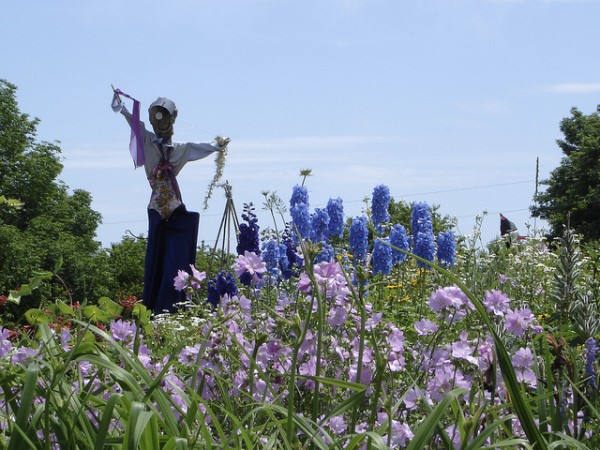 A troop of scarecrows is a highlight at Ocean Glimpse Farm in Northport. A troop of scarecrows is a highlight at Ocean Glimpse Farm in Northport.