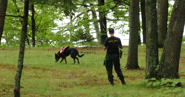 Warden Michelle Merrifield and her K-9, Duchess, search the trails Thursday morning, August 4, 2011, on the grounds of Avalon Village, located on the bank of the Penobscot River in Hampden. They were searching for an elderly Hampden woman who was reported missing Wednesday night by relatives. Department of Inland Fisheries and Wildlife Warden Sgt. Ralph Hosford said in addition to two K-9s and their handlers, they were conducting a normal search, with wardens using mapping and GPS to cover the surrounding area. Searchers from the Department of Marine Resources were expected on the river in the afternoon. Hosford said if the rainstorms ended, they hoped to have an aircraft join the search. Warden Michelle Merrifield and her K-9, Duchess, search the trails Thursday morning, August 4, 2011, on the grounds of Avalon Village, located on the bank of the Penobscot River in Hampden. They were searching for an elderly Hampden woman who was reported missing Wednesday night by relatives. Department of Inland Fisheries and Wildlife Warden Sgt. Ralph Hosford said in addition to two K-9s and their handlers, they were conducting a normal search, with wardens using mapping and GPS to cover the surrounding area. Searchers from the Department of Marine Resources were expected on the river in the afternoon. Hosford said if the rainstorms ended, they hoped to have an aircraft join the search.