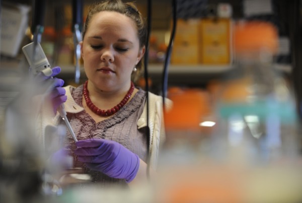 Heather Fairfield, a research assistant at The Jackson Laboratory in Bar Harbor, uses a pipette to work with embryonic stem cell DNA in February 2010 at the facility's genetic research lab. The lab announced plans Friday for a $1.1 billion medical research center in Connecticut that lab officials said would likely lead to additional jobs at the institution’s Bar Harbor facility. Heather Fairfield, a research assistant at The Jackson Laboratory in Bar Harbor, uses a pipette to work with embryonic stem cell DNA in February 2010 at the facility's genetic research lab. The lab announced plans Friday for a $1.1 billion medical research center in Connecticut that lab officials said would likely lead to additional jobs at the institution’s Bar Harbor facility.