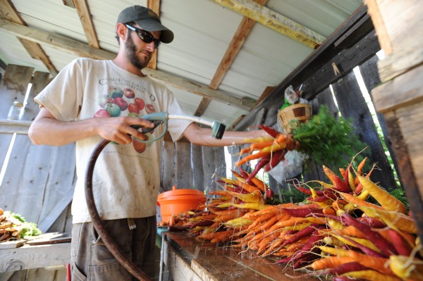 Brian St. Laurent washes carrot bunches at the Maine Organic Farmers and Growers Association farm in Unity on Wednesday, Aug. 24, 2011. St. Laurent and his partner, Holli Cederholm, share duties on the farm for two years then pass the privilege on to new farmers to try their hand at organic farming. The pair were anxious on Wednesday as they were expecting an organic inspection that day. Brian St. Laurent washes carrot bunches at the Maine Organic Farmers and Growers Association farm in Unity on Wednesday, Aug. 24, 2011. St. Laurent and his partner, Holli Cederholm, share duties on the farm for two years then pass the privilege on to new farmers to try their hand at organic farming. The pair were anxious on Wednesday as they were expecting an organic inspection that day.