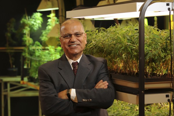 This Aug. 19, 2008 photograph released by the University of Mississippi Brand Photography Services shows Dr. Mahmoud ElSohly, who directs the federally sponsored medical marijuana operation in at the University of Mississippi in Oxford, Miss. For the past three decades, the federal government has been providing a handful of patients with some of the highest grade marijuana around. The program grew out of a 1976 court settlement that created the country's first legal pot smoker. This Aug. 19, 2008 photograph released by the University of Mississippi Brand Photography Services shows Dr. Mahmoud ElSohly, who directs the federally sponsored medical marijuana operation in at the University of Mississippi in Oxford, Miss. For the past three decades, the federal government has been providing a handful of patients with some of the highest grade marijuana around. The program grew out of a 1976 court settlement that created the country's first legal pot smoker.