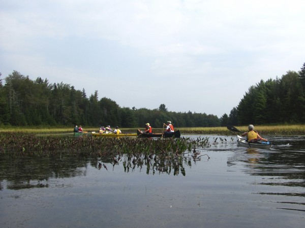 Some say new proposals will make it too easy for developers to build near wetlands. Some say new proposals will make it too easy for developers to build near wetlands.