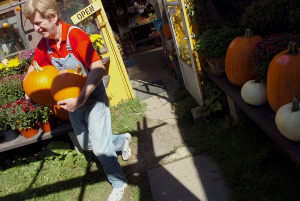 Janice Minson, one of the owners of Calkins Farm Stand in Hampden, carries pumpkins to a customer's car on Monday, Sept. 19, 2011. Minson says that Calkins grow about 90% of the pumpkins they sell and that despite having to replant twice early in the season due to wet conditions, this year's pumpkins are large and plentiful. Janice Minson, one of the owners of Calkins Farm Stand in Hampden, carries pumpkins to a customer's car on Monday, Sept. 19, 2011. Minson says that Calkins grow about 90% of the pumpkins they sell and that despite having to replant twice early in the season due to wet conditions, this year's pumpkins are large and plentiful.