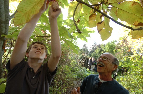 Matthew Nichols (left), a Hermon Middle School seventh-grader, looks over parts of an umbrella magnolia, with Armand O'Clair, caretaker of Ecotat Garden and Arboretum in Hermon. Ever since he was two and working in the family garden with his grandmother, Nichols has had an interest in botany. Matthew Nichols (left), a Hermon Middle School seventh-grader, looks over parts of an umbrella magnolia, with Armand O'Clair, caretaker of Ecotat Garden and Arboretum in Hermon. Ever since he was two and working in the family garden with his grandmother, Nichols has had an interest in botany.