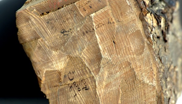 Piece "C" entered as evidence in a deposition filed in 1878 by noted surveyor Noah Barker to end a property dispute between T3R9 and T3R8. Barker found the original line that was blazed in 1794 and cut a chunk out of several trees that showed the marks of the property line. The samples are kept in the old Penobscot Couny Courthouse Registry of Deeds Office. Piece "C" entered as evidence in a deposition filed in 1878 by noted surveyor Noah Barker to end a property dispute between T3R9 and T3R8. Barker found the original line that was blazed in 1794 and cut a chunk out of several trees that showed the marks of the property line. The samples are kept in the old Penobscot Couny Courthouse Registry of Deeds Office.