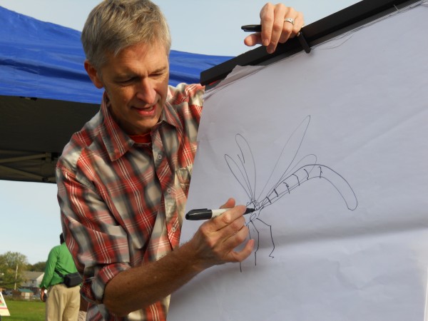 Illustrator Scott Nash draws a damselfly for kids during the opening of a new StoryWalk in Payson Park in Portland. Nash drew a damselfly as the main character in "The Bugliest Bug," which he illustrated and Carol Diggory Shields wrote. Pages from the book are posted on signs along the StoryWalk. Illustrator Scott Nash draws a damselfly for kids during the opening of a new StoryWalk in Payson Park in Portland. Nash drew a damselfly as the main character in "The Bugliest Bug," which he illustrated and Carol Diggory Shields wrote. Pages from the book are posted on signs along the StoryWalk.