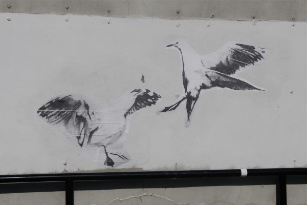 An example of the Pigeon's artwork, attached to Bangor buildings with wheat paste. An example of the Pigeon's artwork, attached to Bangor buildings with wheat paste.