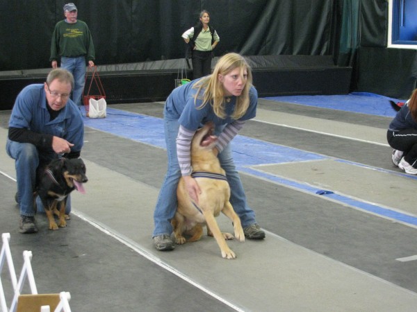 Kari Daniels of Moodus, Conn., held back her yellow labrador, Potter, who was raring to race Saturday at the flyball tournament. "The dog goes crazy for it," she said of the sport. "It's a good way to get him exercise." Kari Daniels of Moodus, Conn., held back her yellow labrador, Potter, who was raring to race Saturday at the flyball tournament. "The dog goes crazy for it," she said of the sport. "It's a good way to get him exercise."