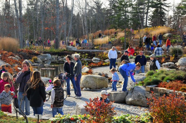 Frozen Turkey Hunt Return To Coastal Maine Botanical Gardens