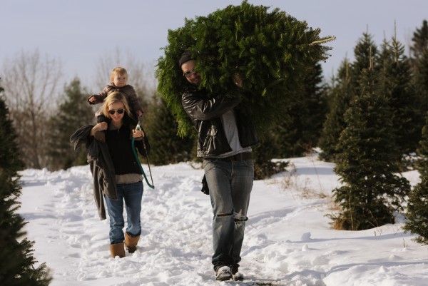 Is conservative media the Grinch that stole Maine tree growers ...