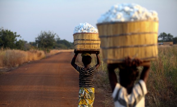 Thirteen-year-old Clarisse Kambire (left) and a fellow child laborer carry wicker baskets full of hand-picked fair-trade organic cotton back to the farmer's store house after a day's labor in fields near Benvar, Burkina Faso. Thirteen-year-old Clarisse Kambire (left) and a fellow child laborer carry wicker baskets full of hand-picked fair-trade organic cotton back to the farmer's store house after a day's labor in fields near Benvar, Burkina Faso.
