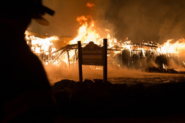 Firefighters found the barn at Knowlton Corner Farm in Farmington fully engulfed when they arrived at about 4 a.m. Thursday. Firefighters found the barn at Knowlton Corner Farm in Farmington fully engulfed when they arrived at about 4 a.m. Thursday.