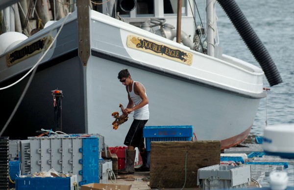 Adrick Roscoe of Live Lobster Co. works on the Rockland Municipal Fish Pier in August, 2010, where he buys lobster from fishermen and sells them bait. Adrick Roscoe of Live Lobster Co. works on the Rockland Municipal Fish Pier in August, 2010, where he buys lobster from fishermen and sells them bait.