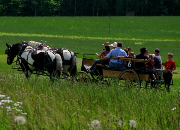On the last weekend in June, the Greggs host Maple Meadow Farm festival, an old-fashioned country fair on the grounds of their 400-acre farm. Wagon rides, farm equipment demonstrations and baked goods are part of the event. On the last weekend in June, the Greggs host Maple Meadow Farm festival, an old-fashioned country fair on the grounds of their 400-acre farm. Wagon rides, farm equipment demonstrations and baked goods are part of the event.